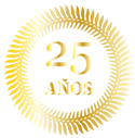 logo 25 años